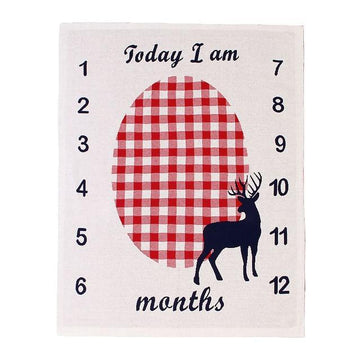Monthly Milestone Blanket